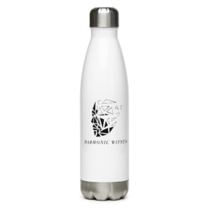 Stainless steel water bottle